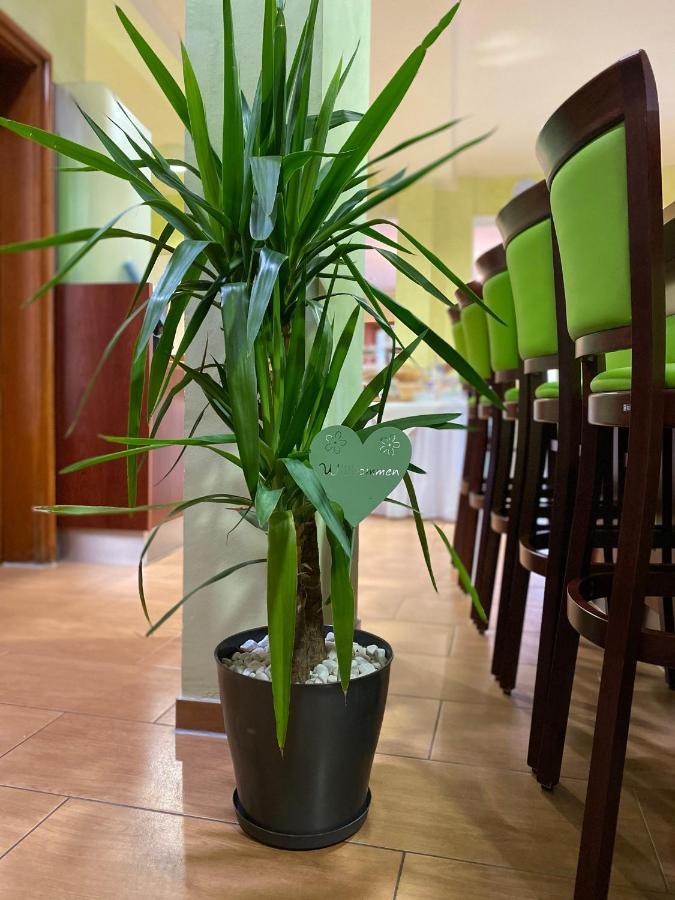 Hotel Parkhotel 3*
