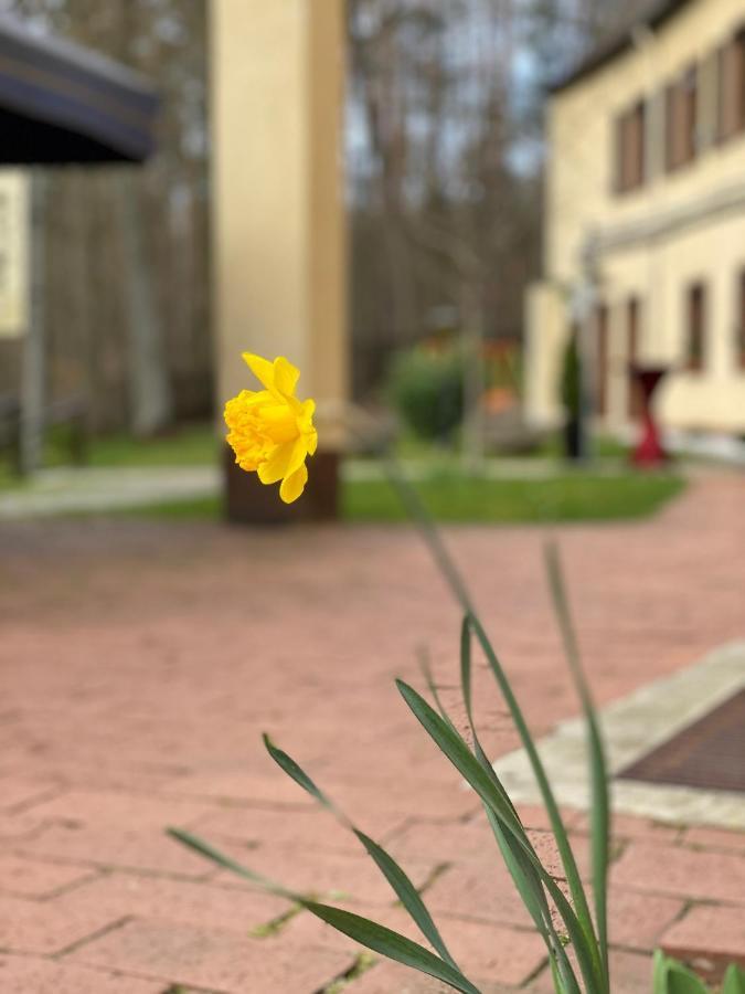 Parkhotel 3* Zirndorf